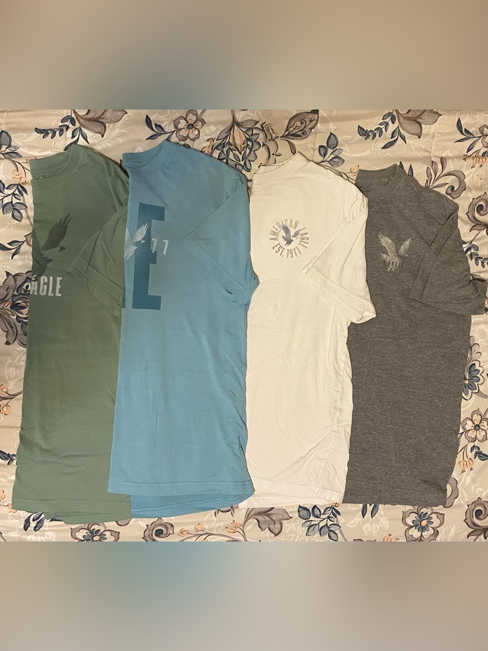 American Eagle Outfitters T-Shirt Lot in Light Blue, White, Gray, and Green